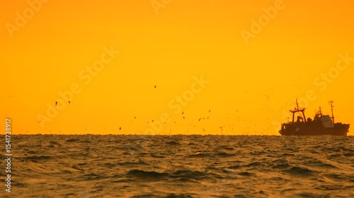 Fishing Sunset Seabirds: Trawler sails on ocean in golden hour amid birds for fishing