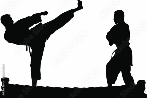 Martial Artist High Kick