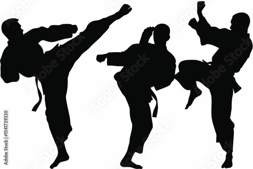 Martial Artist High Kick