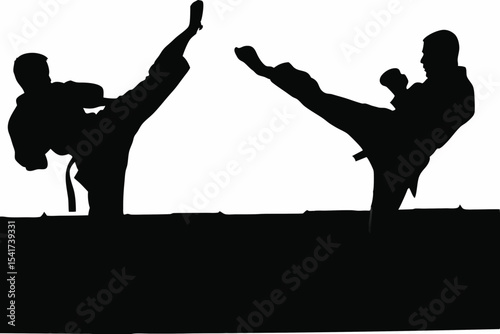 Martial Artist High Kick