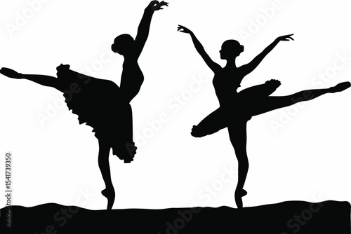 Ballet Dancer Pose