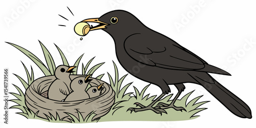 Black mother bird feeding chicks love , affection and interest animals  white background vector illustration .

