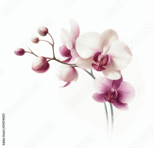 Tropical Elegance Orchid isolated watercolor vector illustration svg