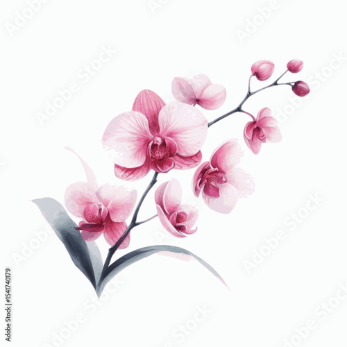 Jade Orchid Hue Orchid pink isolated watercolor vector illustration svg