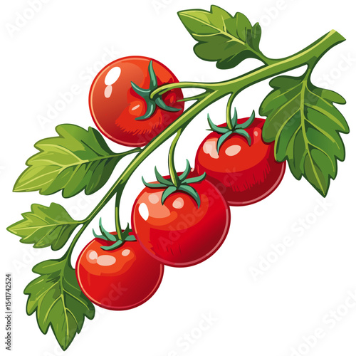 Branch of tomatoes vector color illustration. Image of fresh ripe red vegetables on a twig on an isolated background. For packaging and design.
