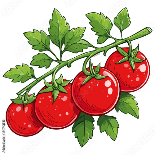 Branch of tomatoes vector color illustration. Image of fresh ripe red vegetables on a twig on an isolated background. For packaging and design.