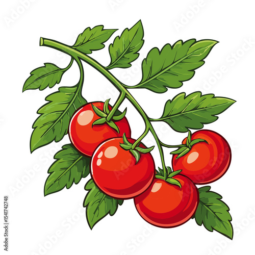Branch of tomatoes vector color illustration. Image of fresh ripe red vegetables on a twig on an isolated background. For packaging and design.