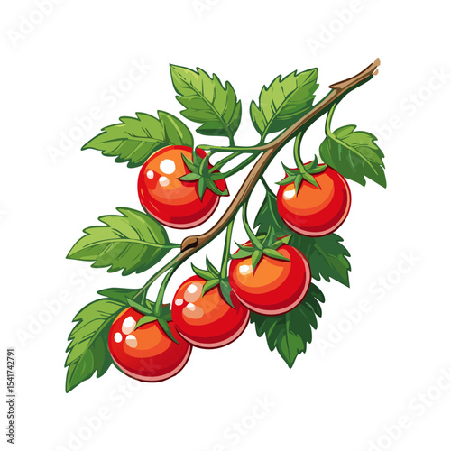 Branch of tomatoes vector color illustration. Image of fresh ripe red vegetables on a twig on an isolated background. For packaging and design.