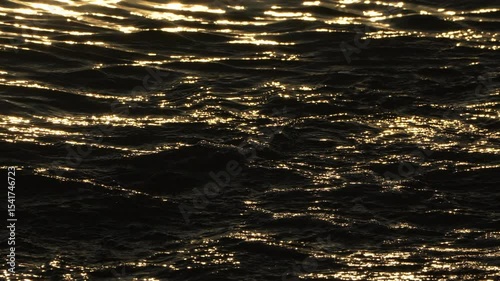 Ocean Waves Sunlight: Golden sunlight glints on dark waves, reflecting creating sparkles at sea during daytime.