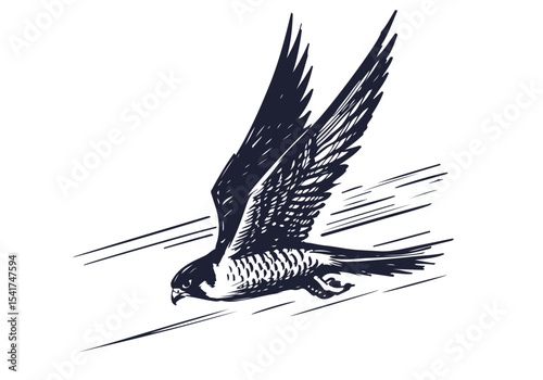 Peregrine Falcon hand drawn sketch vector illustration