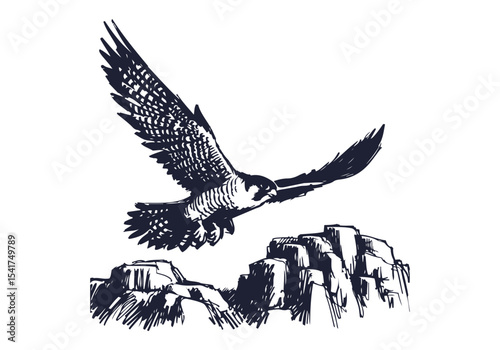 Peregrine Falcon hand drawn sketch vector illustration