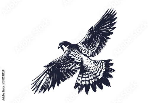 Peregrine Falcon hand drawn sketch vector illustration