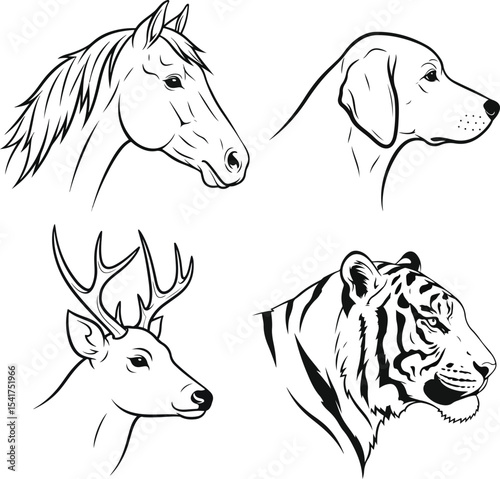 Side-profile vector animal heads – horse, dog, deer, tiger. Clean silhouette with slight details, white background.