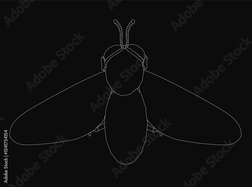 Black and white fly drawing with bold white outline stands out against a dark background. The stark contrast creates a striking, minimalist effect. Detailed wings and legs add realism to the insect.