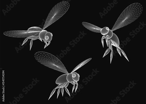 Three black and white 3D dragonfly models with intricate details on a black background. The realistic wings, delicate antennae, and segmented body create a lifelike appearance.