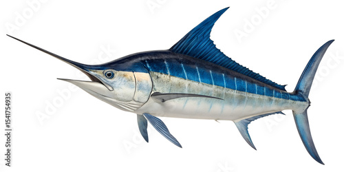 A detailed illustration of a swordfish with a long bill and streamlined body. The fish displays vibrant blue and silver colors, set against a transparent background.