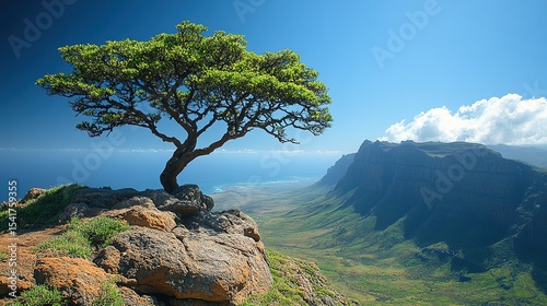 tree in the mountains