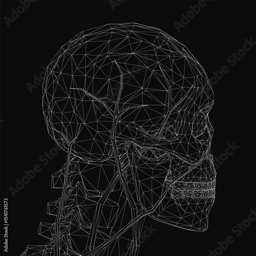 Wireframe human skull with detailed anatomical structure, showcasing bones and sutures in a clean digital rendering. The skeletal model highlights the cranium, jaw, and eye sockets for medical or.