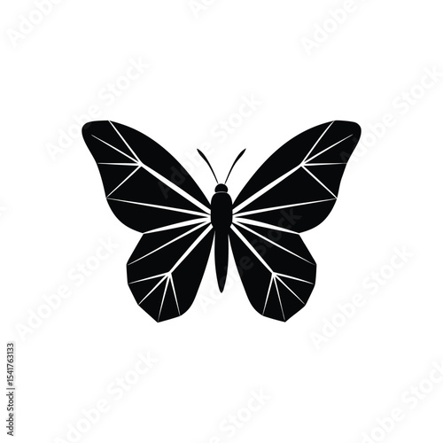Butterfly animal vector art illustration-