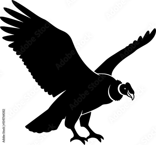 Condor Bird Silhouette