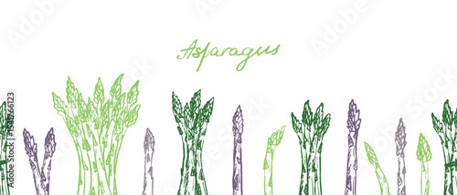 Seamless border with asparagus bundles and stalk in green brush stroke texture isolated on white. Hand drawn vector sketch illustration in vintage charcoal ink. Package design, print