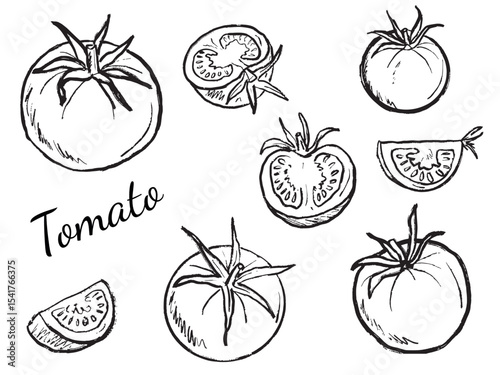 Set of whole, sliced tomatoes in black brush stroke texture isolated on white. Hand drawn vector sketch illustration in vintage charcoal ink. Cooking, label, market vegetable design, eco friendly