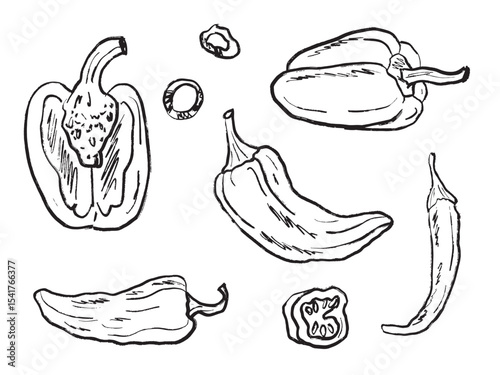 Collection of different pepper kinds, whole, half sliced in black brush stroke texture isolated on white. Hand drawn vector sketch illustration in vintage charcoal ink. Bell pepper, chili pepper