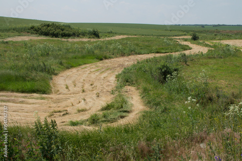 A dirt road through a field
