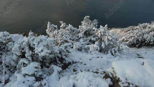 Snow Trees Sea Snowy Cliffside Landscape
