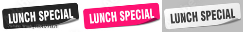 lunch special sticker. lunch special sticker set on white background
