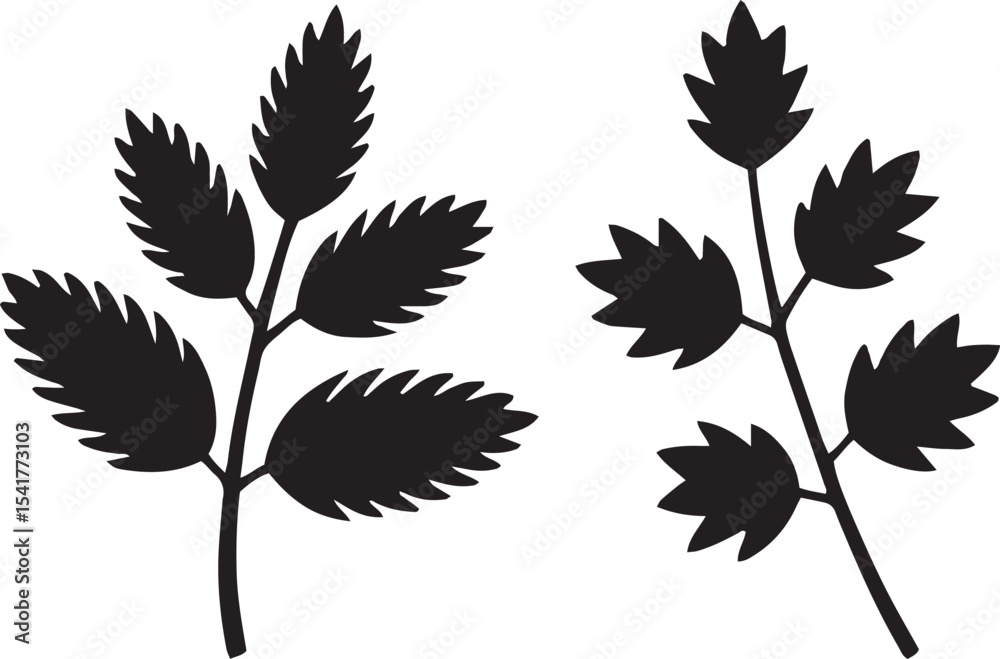 Obraz premium leaf, plant, green, nature, foliage, silhouette, organic, outline, tree, botanical, garden, eco, environment, flora, autumn, fresh, natural, flat, design, shape,