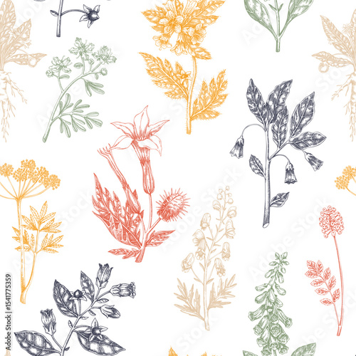 Witch herbs seamless pattern. Poisonous plants background. Apothecary hand-drawn vector illustration. NOT AI generated