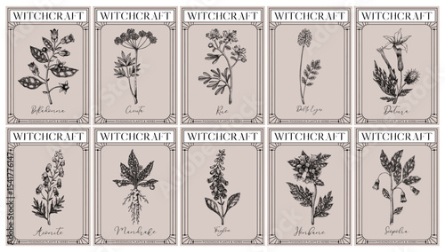 Witchcraft labels set. Poisonous plants and medicinal herbs sketches. Art Nouveau, Art Deco, retro style. Vintage frame design templates on chalkboard. NOT AI generated