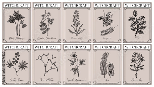 Witchcraft labels set. Poisonous plants and medicinal herbs sketches. Art Nouveau, Art Deco, retro style. Vintage frame design templates . NOT AI generated