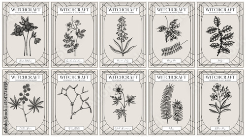 Witchcraft labels set. Poisonous plants and medicinal herbs sketches. Art Nouveau, Art Deco, retro style. Vintage frame design templates . NOT AI generated