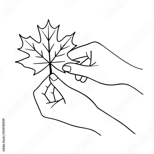 two hands gently holding maple leaf autumn season moment symbol vector icon