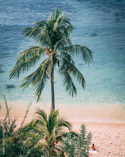 Fototapeta Naklejka Na Ścianę i Meble -  Tropical beach with coconut palm tree and turquoise sea in Mexico
