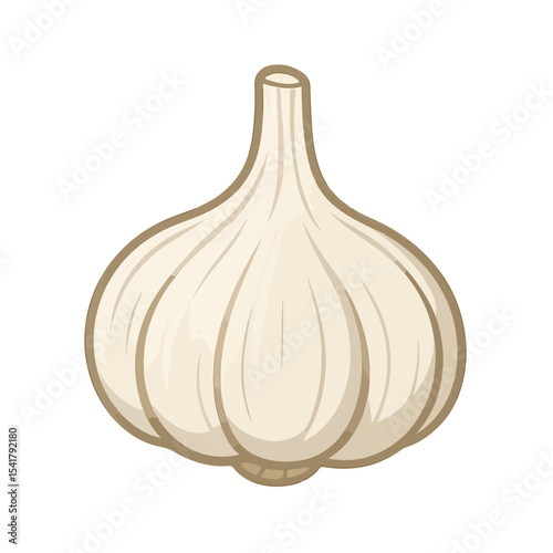 vector garlic isolated on white background, garlic SVG image