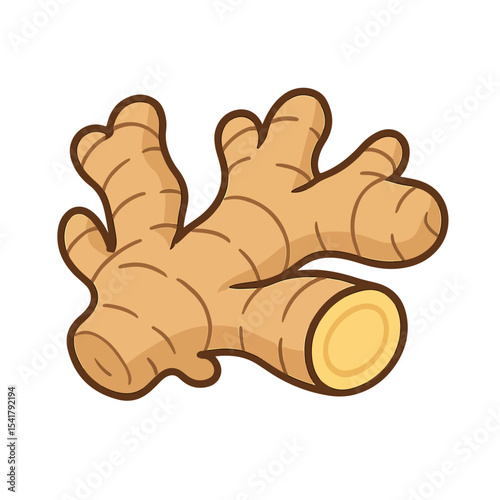 vector ginger illustration isolated on white background