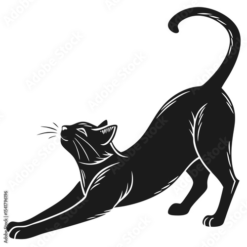 A black cat stretching its body with its tail up on a white background Silhouette
