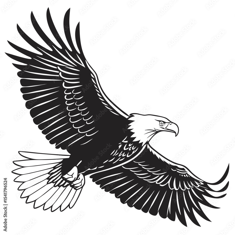 Fototapeta premium Detailed monochrome illustration of an eagle soaring with spread wings Silhouette