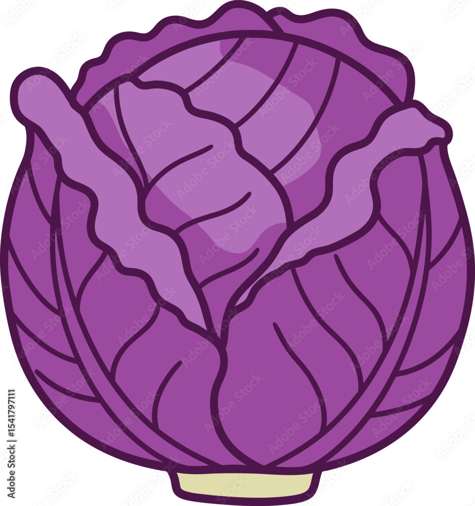 Obraz premium Fresh Purple Cabbage: Healthy Vegetable Icon Design