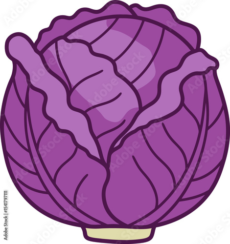 Fresh Purple Cabbage: Healthy Vegetable Icon Design