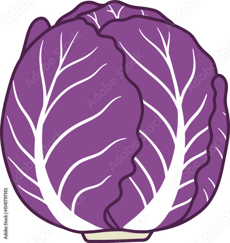 Fresh Purple Cabbage: Healthy Vegetable Icon Design