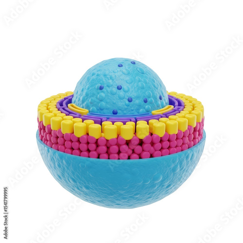 Detailed 3D Render of Cell Nucleus Anatomy on Transparent Background, Illustrating Biology, Molecular Structure, and Scientific Research for Medical Purposes