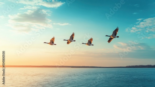 blue sky,The Yellow River flows into the sea, and three wild gooses fly over it with their wings outstretched. The background is an endless lake surface
