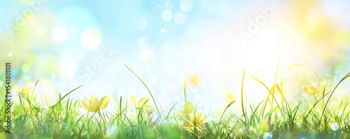 Spring meadow with vibrant yellow flowers and soft light