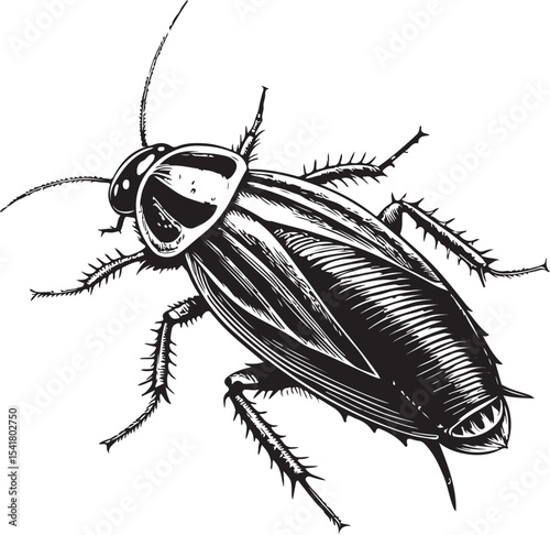 Brown-banded Cockroach (Supella longipalpa), Types of Cockroaches, Vector Illustration, Sketch Drawing Line Linear Symbol Icon Engraving Coloring Book, Hand-drawn Black and White Isolated
