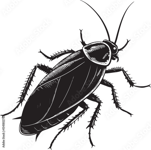 Smokybrown Cockroach (Periplaneta fuliginosa), Types of Cockroaches, Vector Illustration, Sketch Drawing Line Linear Symbol Icon Engraving Coloring Book, Hand-drawn Black and White Isolated

