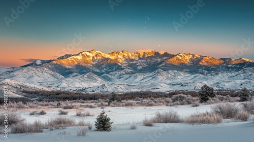 Borealis seen above the Utah mountains in winter covered by snow, with few pines disseminated across the peaks. High-contrast lighting, chiaroscuro, and high definition. cinematic scene